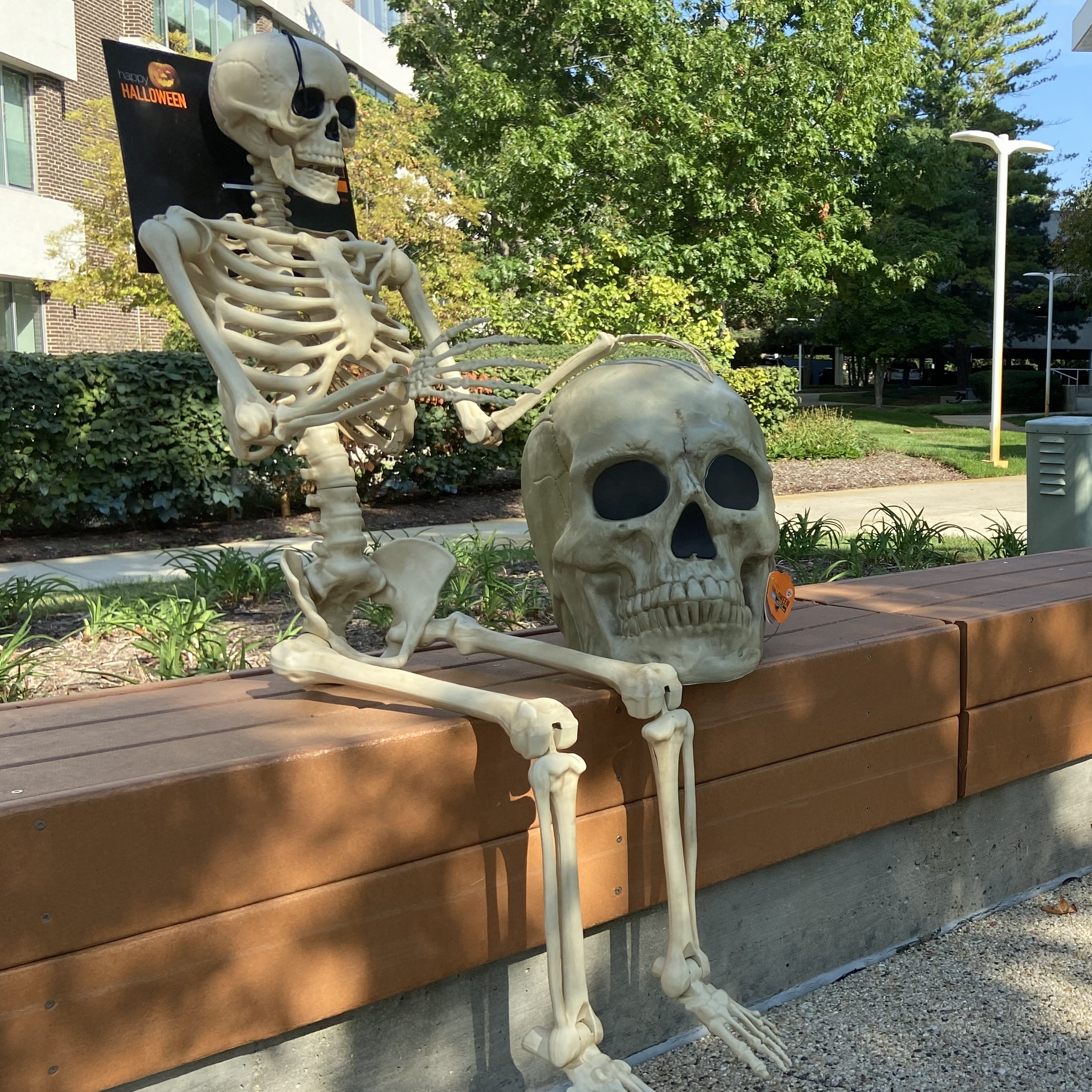 Skeletons on a bench