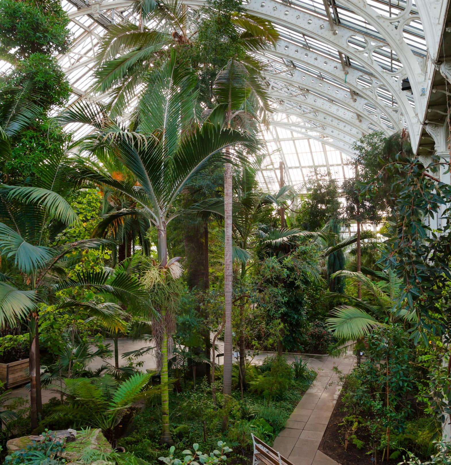 Kew Gardens Orangery