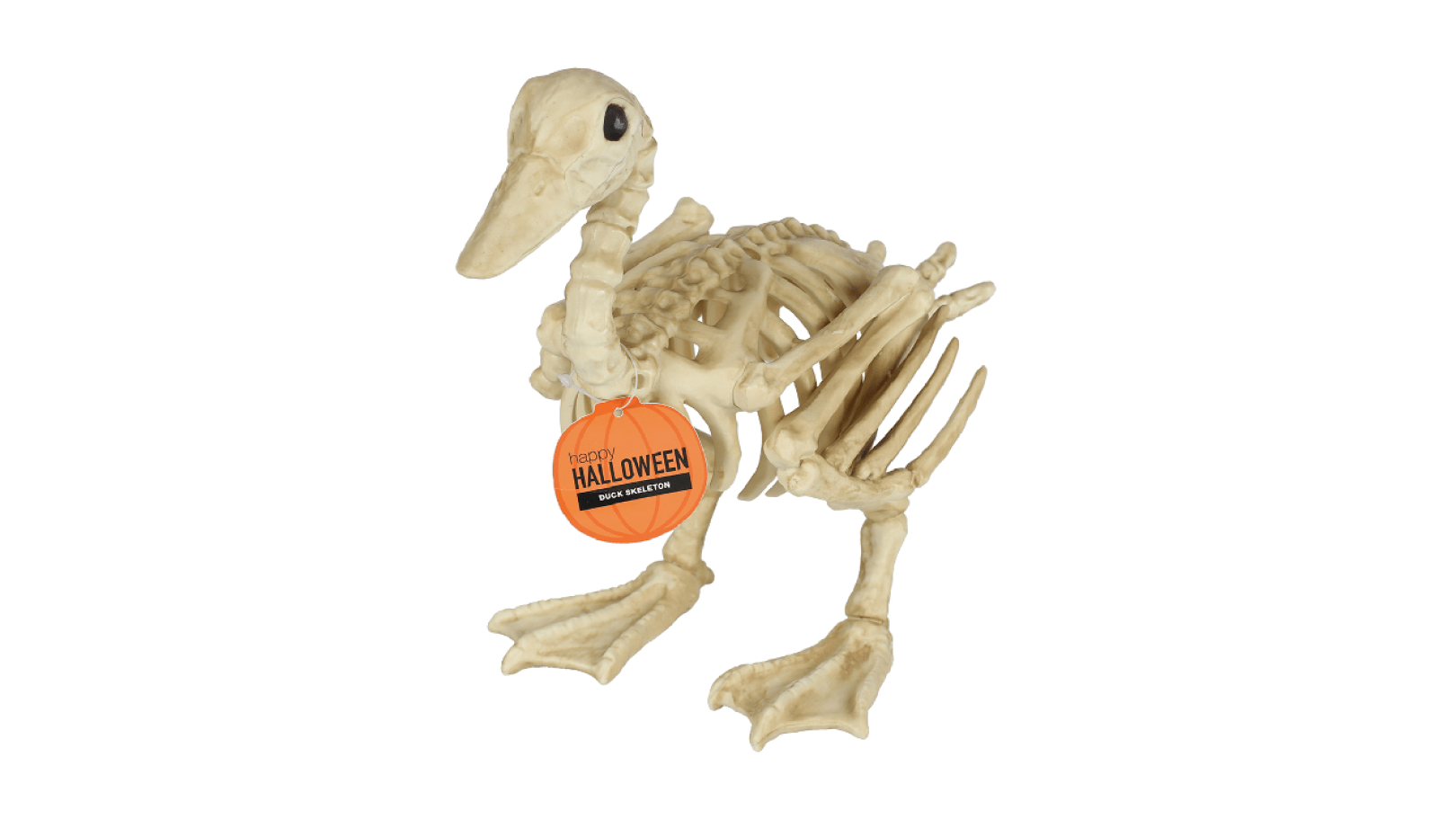 duck skeleton.png